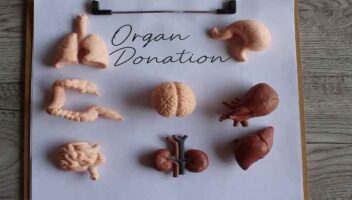 World Organ Donation Day