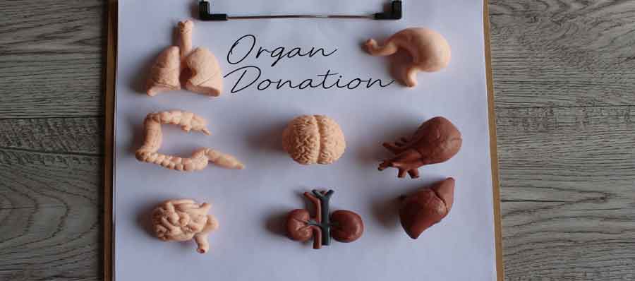 World Organ Donation Day