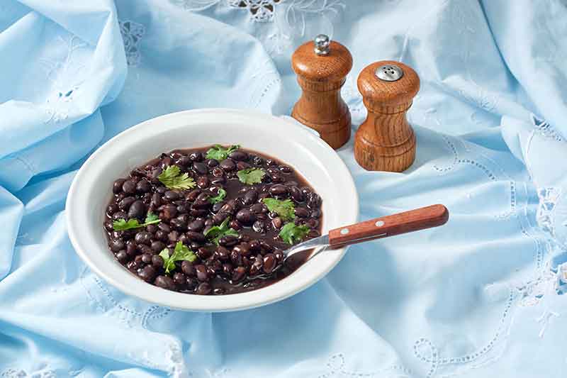 Black bean recipes are suitable for people with diabetes