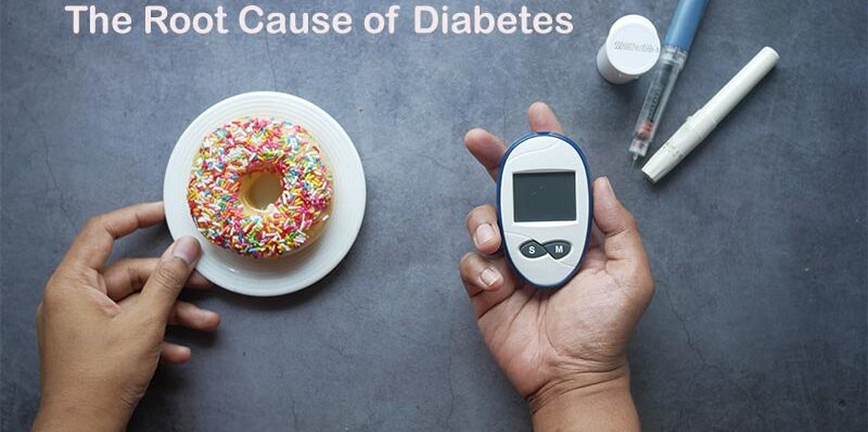 The Root Cause of Diabetes Explained